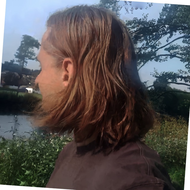 Profilbild von Stephan Krol